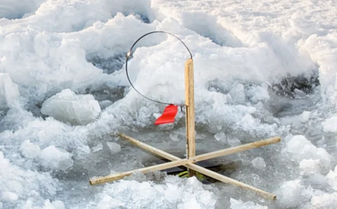  Ice Fishing and Vehicle Insurance 