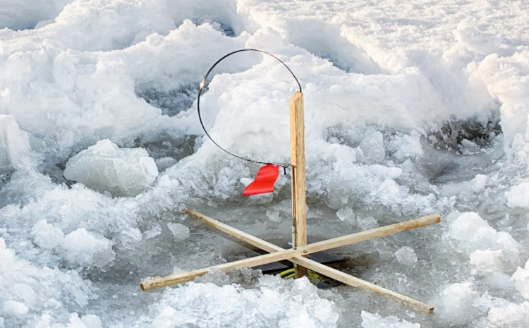  Ice Fishing and Vehicle Insurance